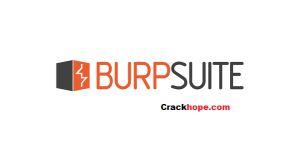 Burp Suite Pro 2022.12.7 Crack + License Key (Latest) Download